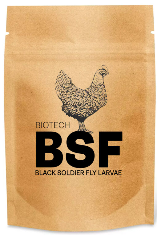 Black Soldier Fly Larvae Chicken Feed