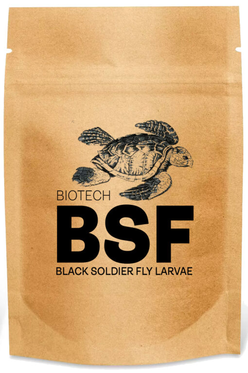 Black Soldier Fly Larvae Reptile Feed